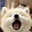 악 avatar