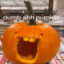 fluffybot