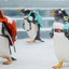 AussiePenguin