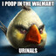 White Angry Bird