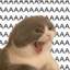 meowchine gun