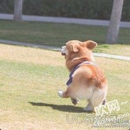 姐姐糖尿病害我蛀牙