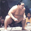 Sumo