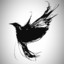 Black_Bird
