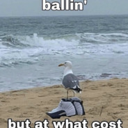 The Cost of Ballin