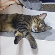 我不想学习了！！