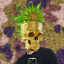 Draco