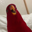 Red Bird Hehehe