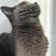 虎牙莱昂凯shyeark