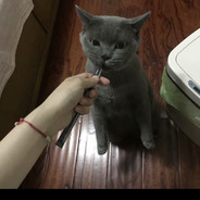 老白涮肉坊