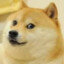 dalehsu