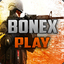 BoneX