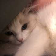 小瑶瑶瑶瑶瑶瑶瑶瑶