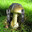 Death Capped