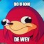 Do U Kno De Wey?