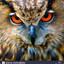 &lt;&lt; Eagle Owl &gt;&gt;