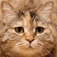 翻斗花园第一狙击手