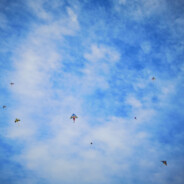 线上我饱受欺凌