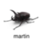 martin