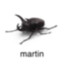 martin