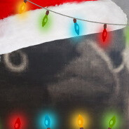 Delta1116732's avatar