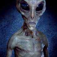 Probe