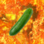 CUCUMBER