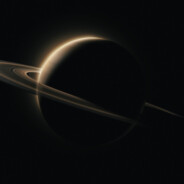 Птичий порыв