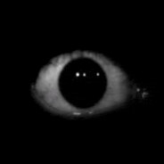 ㄥ 4 ㄚ 乙 Steam avatar