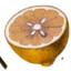 dried_lemon