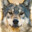 ArcticWolfXXII's avatar