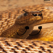 Taipan