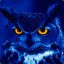 Evil Owl