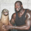 Shaquille O&#039;Seal