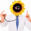 Dr. Sunflower