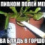 дубина