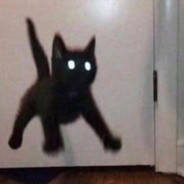 Таракан #MAGICRUST