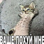 hopeless suffered watch me die