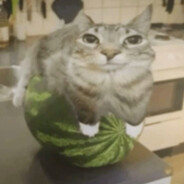 ДЖЕК ПОДРОЧИТЕЛЬ