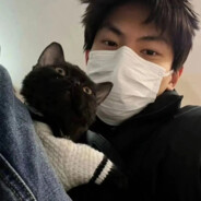 后背里藏了一只猫