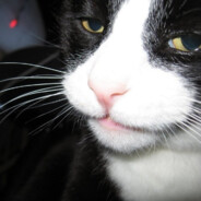 Бe3р@Б0tNЬ|Й//YANDEX_EDA