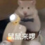人生鹿
