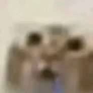 inka0_0 avatar