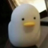 h逗