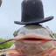 DipetRama