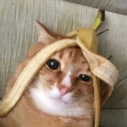 老母鸡扛枪丢炸弹