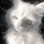 Æ&#039;berto :3
