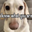 I know what you are