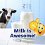Oat Milk