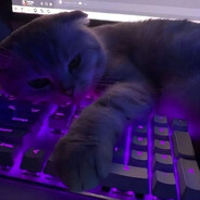 🌑☪︎moonlight☪︎🌑